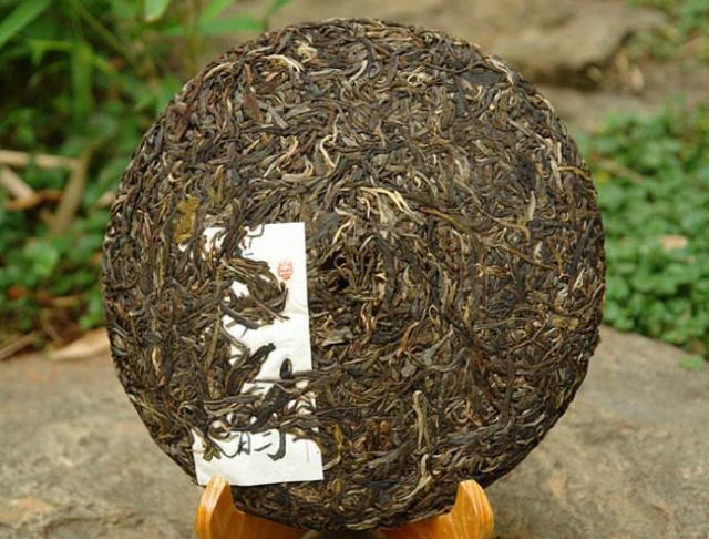 茶叶怎么种植（茶树怎么种植）